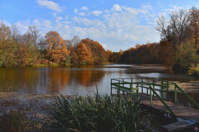 Фото Олега Степушина